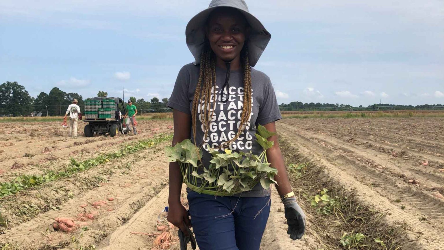 Modesta Abugu in a Sweetpotato field in Clinton, NC. Photo credit: Simon Fraher, NC State University.