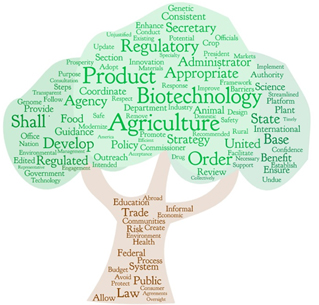 Word cloud created from the language in the Regulation of Ag Biotech Executive Order